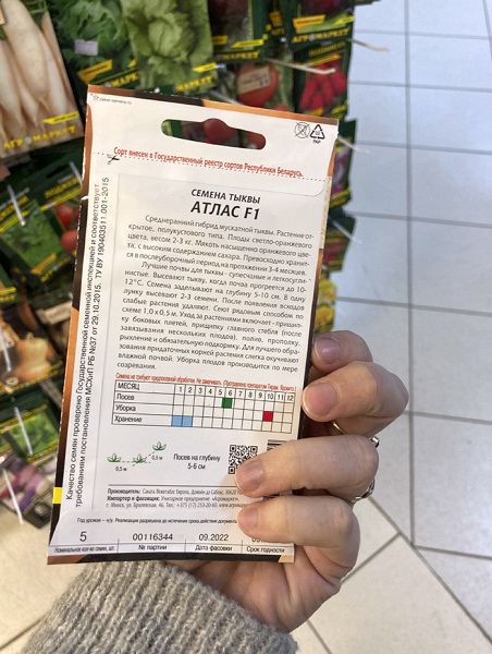 тыква Атлас F1